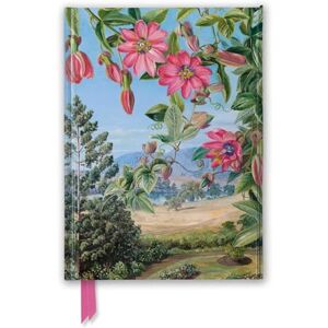 Kew Gardens' Marianne North: View in the Brisbane Botanic Garden (Foiled Journal) (Flame Tree Notebooks) Kew Gardens' Marianne North: View in the Brisbane Botanic Garden (Foiled Journal) (Flame Tree Notebooks)