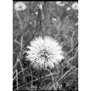 Munroe, Robert G. The Circle of Love Munroe, Robert G. The Circle of Love