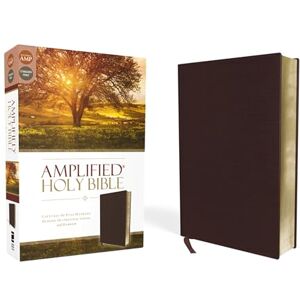Zondervan Amplified Holy Bible, Bonded Leather, Burgundy: Captures the Full Meaning Behind the Original Greek and Hebrew Zondervan Amplified Holy Bible, Bonded Leather, Burgundy: Captures the Full Meaning Behind the Original Greek and Hebrew