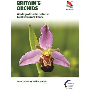 Sean Cole Britain's Orchids (Britain's Wildlife): A Field Guide to the Orchids of Great Britain and Ireland (WILDGuides): 43 Sean Cole Britain's Orchids (Britain's Wildlife): A Field Guide to the Orchids of Great Britain and Ireland (WILDGuides): 43