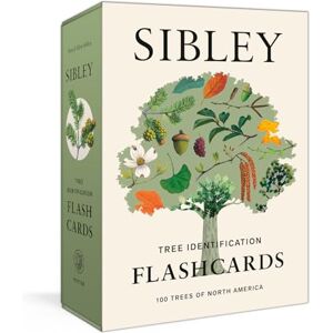 Sibley, David Allen Sibley Tree Identification Flashcards: 100 Trees of North America Sibley, David Allen Sibley Tree Identification Flashcards: 100 Trees of North America