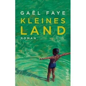 Faye, Gaël Kleines Land: Roman Faye, Gaël Kleines Land: Roman