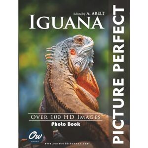 World, Our Iguana: Picture Perfect Photo Book World, Our Iguana: Picture Perfect Photo Book
