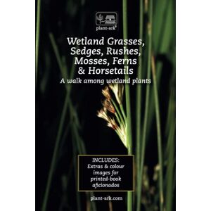 McCobb, Ita Wetland Grasses, Sedges, Rushes, Mosses, Ferns & Horsetails: Take a walk among wetland plants McCobb, Ita Wetland Grasses, Sedges, Rushes, Mosses, Ferns & Horsetails: Take a walk among wetland plants