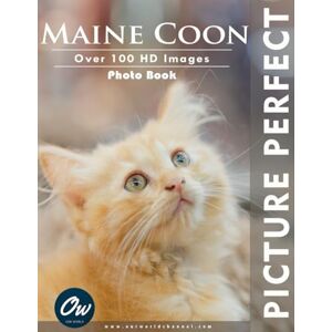 World, Our Maine Coon: Picture Perfect Photo Book World, Our Maine Coon: Picture Perfect Photo Book