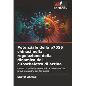 Ahmad, Shafat Potenziale della p70S6 chinasi nella regolazione della dinamica del citoscheletro di actina: Lo stato di fosforilazione di S6K1 è ridondante per la sua interazione con la F actina Ahmad, Shafat Potenziale della p70S6 chinasi nella regolazione della dinamica del citoscheletro di actina: Lo stato di fosforilazione di S6K1 è ridondante per la sua interazione con la F actina
