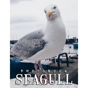 Schneider, Shayla A Photo Book Of Seagull: A Great Gift With Compelling And Impressive Pictures Of Seagull To Relax And Relieve Stress For All Ages & Genders On Christmas, Birthday Schneider, Shayla A Photo Book Of Seagull: A Great Gift With Compelling And Impressive Pictures Of Seagull To Relax And Relieve Stress For All Ages & Genders On Christmas, Birthday