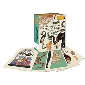 Animalium Postcards: (Welcome To The Museum) Animalium Postcards: (Welcome To The Museum)