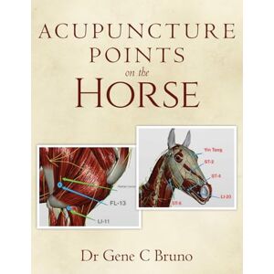 Bruno, Dr Gene C Acupuncture Points on the Horse Bruno, Dr Gene C Acupuncture Points on the Horse