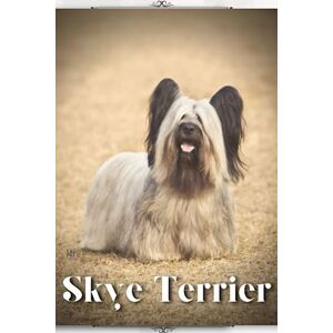 Pustova, Nina Skye Terrier: Dog breed overview and guide Pustova, Nina Skye Terrier: Dog breed overview and guide