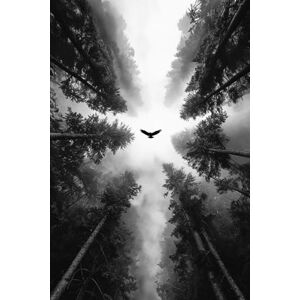 Lee Words that Start With "I": A Poetic Memoir of Becoming Whole Lee Words that Start With "I": A Poetic Memoir of Becoming Whole