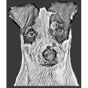 A., Charlie Notebook ,Diary ,Journal (Jack Russell Terrier ,Dog) ,Hard Cover ,8.25 x 11 inches ,180 pages ,Gray cover ,Without frame A., Charlie Notebook ,Diary ,Journal (Jack Russell Terrier ,Dog) ,Hard Cover ,8.25 x 11 inches ,180 pages ,Gray cover ,Without frame