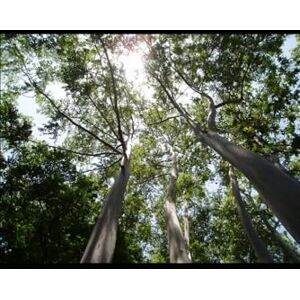 Manfredi Gigliotti, Michele la mia Calabria: seconda edizione Manfredi Gigliotti, Michele la mia Calabria: seconda edizione