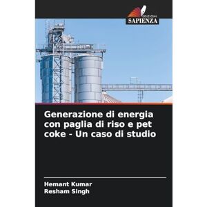 Kumar, Hemant Generazione di energia con paglia di riso e pet coke Un caso di studio Kumar, Hemant Generazione di energia con paglia di riso e pet coke Un caso di studio