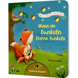 Nömer, Christina Mein Puste-Licht-Buch: Wenn im Dunkeln Sterne funkeln: Gute-Nacht-Buch mit Puste-Licht und LED-Lämpchen, Mitmachbuch für Kinder ab 18 Monaten Nömer, Christina Mein Puste-Licht-Buch: Wenn im Dunkeln Sterne funkeln: Gute-Nacht-Buch mit Puste-Licht und LED-Lämpchen, Mitmachbuch für Kinder ab 18 Monaten