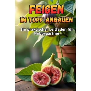 Svitana Feigen im Topf anbauen: Eine Schritt-für-Schritt-Anleitung zum erfolgreichen Feigenanbau zu Hause Svitana Feigen im Topf anbauen: Eine Schritt-für-Schritt-Anleitung zum erfolgreichen Feigenanbau zu Hause