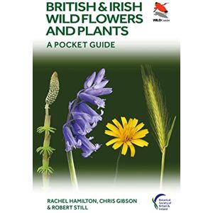 Hamilton, Rachel British and Irish Wild Flowers and Plants: A Pocket Guide (WILDGuides of Britain & Europe, 48) Hamilton, Rachel British and Irish Wild Flowers and Plants: A Pocket Guide (WILDGuides of Britain & Europe, 48)