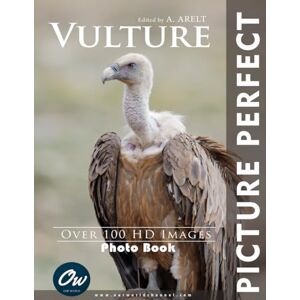 World, Our Vulture: Picture Perfect Photo Book World, Our Vulture: Picture Perfect Photo Book