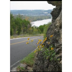 Oelklaus, Dr. Nancy Live the Life You Truly Want Oelklaus, Dr. Nancy Live the Life You Truly Want