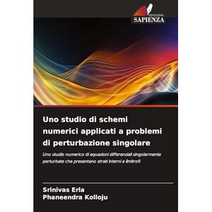 Erla, Srinivas Uno studio di schemi numerici applicati a problemi di perturbazione singolare: Uno studio numerico di equazioni differenziali singolarmente perturbate che presentano strati interni e limitrofi Erla, Srinivas Uno studio di schemi numerici applicati a problemi di perturbazione singolare: Uno studio numerico di equazioni differenziali singolarmente perturbate che presentano strati interni e limitrofi