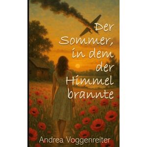 Voggenreiter, Andrea Der Sommer, in dem der Himmel brannte: Ein Dorf. Ein Absturz. Ein Fremder, der alles verändert. Voggenreiter, Andrea Der Sommer, in dem der Himmel brannte: Ein Dorf. Ein Absturz. Ein Fremder, der alles verändert.