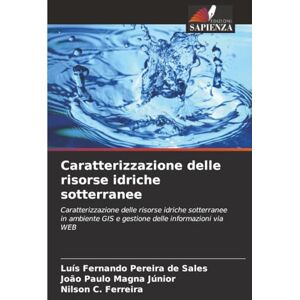 Pereira de Sales, Luís Fernando Caratterizzazione delle risorse idriche sotterranee: Caratterizzazione delle risorse idriche sotterranee in ambiente GIS e gestione delle informazioni via WEB Pereira de Sales, Luís Fernando Caratterizzazione delle risorse idriche sotterranee: Caratterizzazione delle risorse idriche sotterranee in ambiente GIS e gestione delle informazioni via WEB