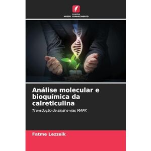 Lezzeik, Fatme Análise molecular e bioquímica da calreticulina: Transdução de sinal e vias MAPK Lezzeik, Fatme Análise molecular e bioquímica da calreticulina: Transdução de sinal e vias MAPK