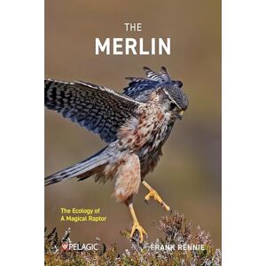 Rennie The Merlin: The Ecology of a Magical Raptor Rennie The Merlin: The Ecology of a Magical Raptor