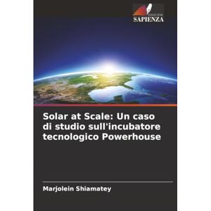 Shiamatey, Marjolein Solar at Scale: Un caso di studio sull'incubatore tecnologico Powerhouse Shiamatey, Marjolein Solar at Scale: Un caso di studio sull'incubatore tecnologico Powerhouse
