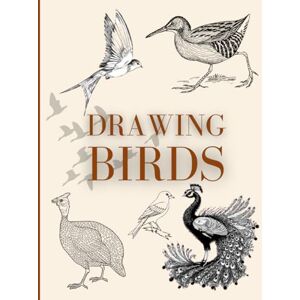 Rizwan, Muhammad Birds Drawing Guide for Kids, Sketching Birds for beginners A Bird Drawing Manual, Step by step Drawing Techniques for your children Size: 8.5 z 11 inches with 160 pages Rizwan, Muhammad Birds Drawing Guide for Kids, Sketching Birds for beginners A Bird Drawing Manual, Step by step Drawing Techniques for your children Size: 8.5 z 11 inches with 160 pages