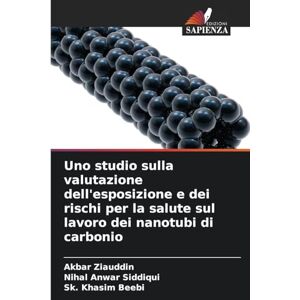Ziauddin, Akbar Uno studio sulla valutazione dell'esposizione e dei rischi per la salute sul lavoro dei nanotubi di carbonio Ziauddin, Akbar Uno studio sulla valutazione dell'esposizione e dei rischi per la salute sul lavoro dei nanotubi di carbonio