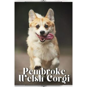 Pustova, Nina Pembroke Welsh Corgi: Dog breed overview and guide Pustova, Nina Pembroke Welsh Corgi: Dog breed overview and guide