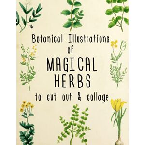 Ashley, Ada Botanical Illustrations of Magical Herbs to Cut Out and Collage: Vintage Images & Ephemera for Junk Journals & Green Witchcraft with 180 Magick Plants and List of Properties and Uses Ashley, Ada Botanical Illustrations of Magical Herbs to Cut Out and Collage: Vintage Images & Ephemera for Junk Journals & Green Witchcraft with 180 Magick Plants and List of Properties and Uses