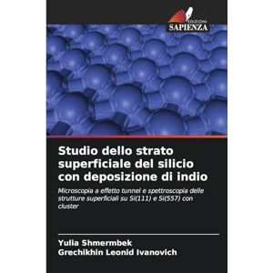 Shmermbek, Yulia Studio dello strato superficiale del silicio con deposizione di indio: Microscopia a effetto tunnel e spettroscopia delle strutture superficiali su Si(111) e Si(557) con cluster Shmermbek, Yulia Studio dello strato superficiale del silicio con deposizione di indio: Microscopia a effetto tunnel e spettroscopia delle strutture superficiali su Si(111) e Si(557) con cluster