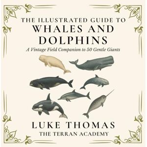 Thomas, Luke The Illustrated Guide to Whales and Dolphins: A Vintage Field Companion to 50 Gentle Giants (The Illustrated Field Companion Series) Thomas, Luke The Illustrated Guide to Whales and Dolphins: A Vintage Field Companion to 50 Gentle Giants (The Illustrated Field Companion Series)