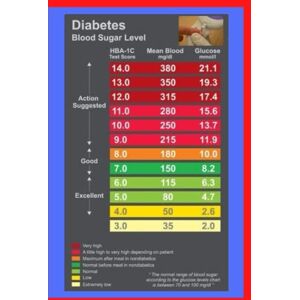 Paige, Dawn Basic diabetic blood sugar recording charts: diabetic journal log Paige, Dawn Basic diabetic blood sugar recording charts: diabetic journal log