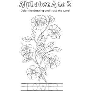 Willams, Cynthia Alphabet A to Z Color the drawing and trace the word: Book Willams, Cynthia Alphabet A to Z Color the drawing and trace the word: Book