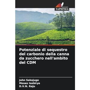 Sekajugo, John Potenziale di sequestro del carbonio della canna da zucchero nell'ambito del CDM Sekajugo, John Potenziale di sequestro del carbonio della canna da zucchero nell'ambito del CDM