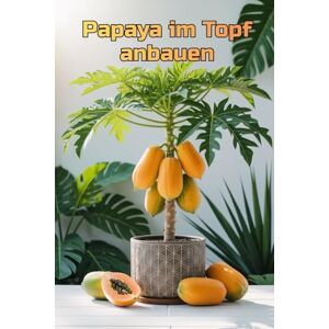 Svitana Papaya im Topf anbauen: Eine vollständige Schritt-für-Schritt-Anleitung zum Anbau von Papayas für Haus und Wohnung: von der Pflanzung bis zur Ernte (Früchte) Svitana Papaya im Topf anbauen: Eine vollständige Schritt-für-Schritt-Anleitung zum Anbau von Papayas für Haus und Wohnung: von der Pflanzung bis zur Ernte (Früchte)