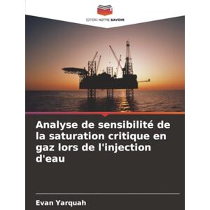 Yarquah, Evan Analyse de sensibilité de la saturation critique en gaz lors de l'injection d'eau Yarquah, Evan Analyse de sensibilité de la saturation critique en gaz lors de l'injection d'eau
