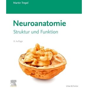 Trepel, Martin Neuroanatomie: Struktur und Funktion (VORKLINIK Lehrbuch Urban & Fischer-Verlag) Trepel, Martin Neuroanatomie: Struktur und Funktion (VORKLINIK Lehrbuch Urban & Fischer-Verlag)