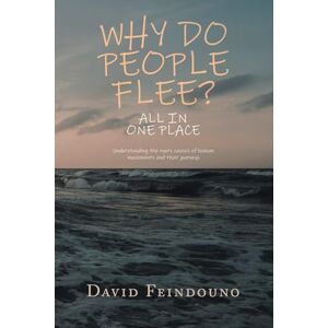 Feindouno, David WHY DO PEOPLE FLEE?: Understanding the roots causes of human movements and their journeys Feindouno, David WHY DO PEOPLE FLEE?: Understanding the roots causes of human movements and their journeys