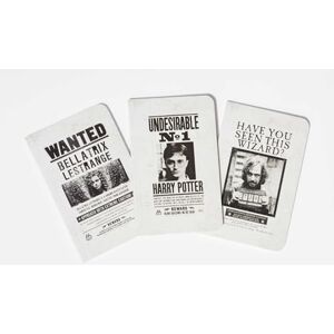 Dennis Culver Harry Potter: Wanted Posters Pocket Notebook Collection (Set of 3) Dennis Culver Harry Potter: Wanted Posters Pocket Notebook Collection (Set of 3)
