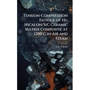 Jones, Tyler P Tension-Compression Fatigue of Hi-Nicalon/SiC Ceramic Matrix Composite at 1200 C in Air and Steam Jones, Tyler P Tension-Compression Fatigue of Hi-Nicalon/SiC Ceramic Matrix Composite at 1200 C in Air and Steam
