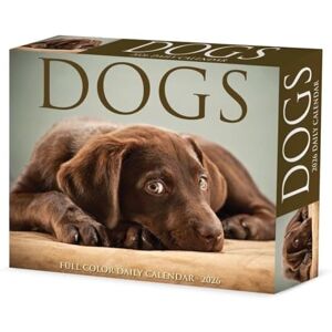 Willow Creek Press Dogs 2026 Box Calendar Willow Creek Press Dogs 2026 Box Calendar