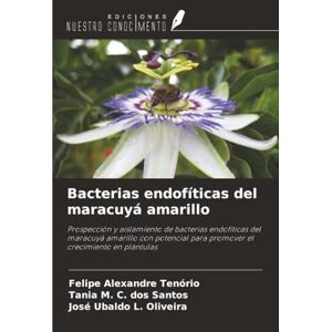 Alexandre Tenório, Felipe Bacterias endofíticas del maracuyá amarillo: Prospección y aislamiento de bacterias endofíticas del maracuyá amarillo con potencial para promover el crecimiento en plántulas Alexandre Tenório, Felipe Bacterias endofíticas del maracuyá amarillo: Prospección y aislamiento de bacterias endofíticas del maracuyá amarillo con potencial para promover el crecimiento en plántulas