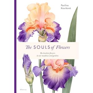 Kourkova, Pavlina The Souls of Flowers: The Loveliest Flowers in Our Meadows and Gardens (Large Encyclopedias) Kourkova, Pavlina The Souls of Flowers: The Loveliest Flowers in Our Meadows and Gardens (Large Encyclopedias)