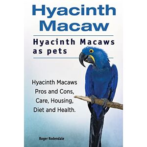 Rodendale, Roger Hyacinth Macaw. Hyacinth Macaws as pets. Hyacinth Macaws Pros and Cons, Care, Housing, Diet and Health. Rodendale, Roger Hyacinth Macaw. Hyacinth Macaws as pets. Hyacinth Macaws Pros and Cons, Care, Housing, Diet and Health.