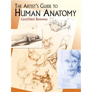Bammes, Gottfried The Artist's Guide to Human Anatomy (Dover Anatomy for Artists) Bammes, Gottfried The Artist's Guide to Human Anatomy (Dover Anatomy for Artists)
