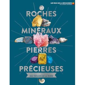 Green, Dan Roches, minéraux, pierres précieuses: Une encyclopédie visuelle des trésors de la terre Green, Dan Roches, minéraux, pierres précieuses: Une encyclopédie visuelle des trésors de la terre